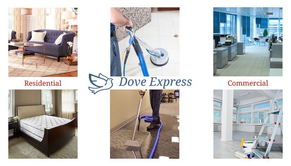 DOVE EXPRESS CARPET CLEANING Updated June 2024 WilkesBarre