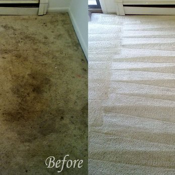 Toronto Steam n' Clean - Carpet Cleaning Near Me - Toronto, Ontario Toronto Steam n' Clean - Carpet Cleaning Near Me - Toronto, Ontario