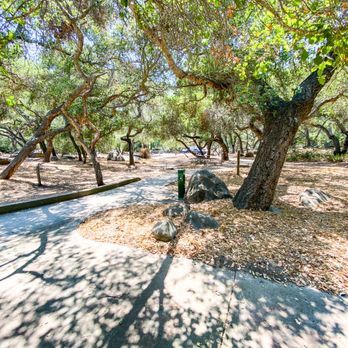 Rocky Nook Park - Shaded paths for wheelchair access - Parks Near Me - Santa Barbara, California Rocky Nook Park - Shaded paths for wheelchair access - Parks Near Me - Santa Barbara, California