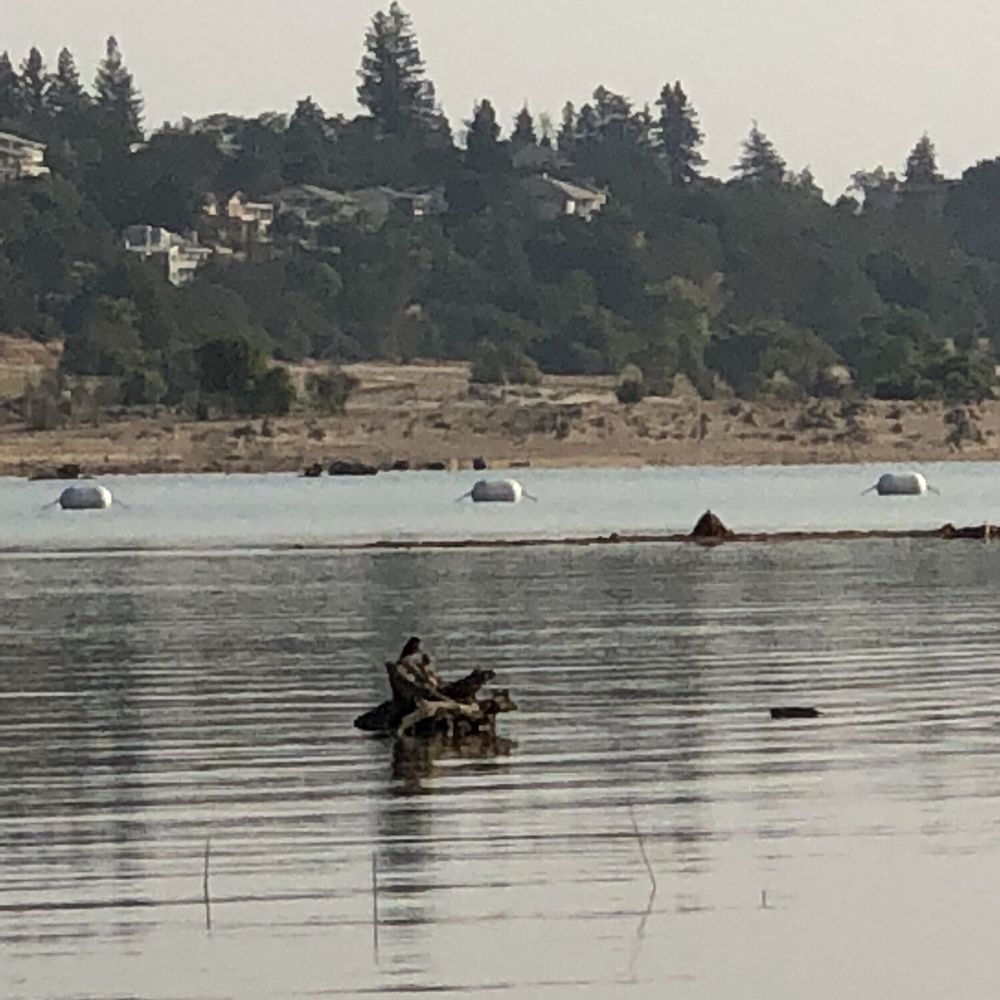 Beals Point Campground - Early Morning Beal Beach - Boating Near Me - Folsom, California Beals Point Campground - Early Morning Beal Beach - Boating Near Me - Folsom, California
