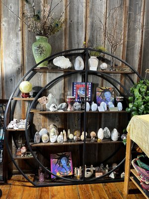 Waterlily Studio Florence