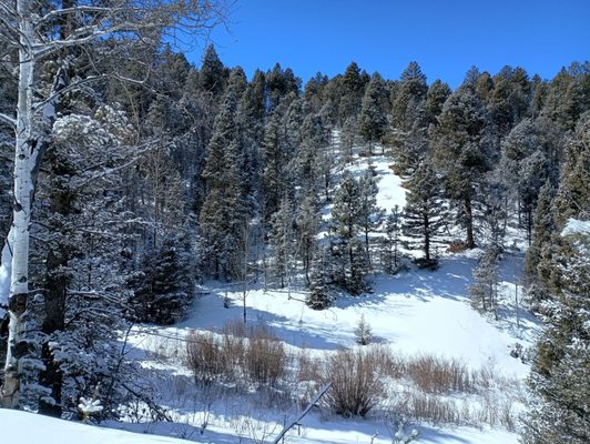 Mueller State Park by null