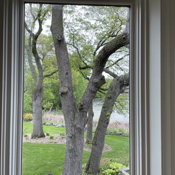 Pain Free Window Cleaning - Results after using the latest window cleaning technology, a water fed pole system - Window Washing Near Me Pain Free Window Cleaning - Results after using the latest window cleaning technology, a water fed pole system - Window Washing Near Me