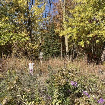 Calvin Ecosystem Preserve and Native Gardens - Special Education Near Me - Grand Rapids, Michigan Calvin Ecosystem Preserve and Native Gardens - Special Education Near Me - Grand Rapids, Michigan