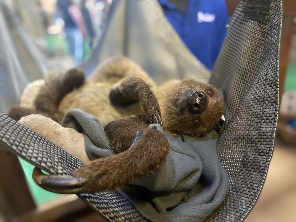 SEAQUEST FOLSOM Updated September 2024 1657 Photos & 1006 Reviews