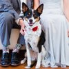 The Bendora Wedding Gallery gift card