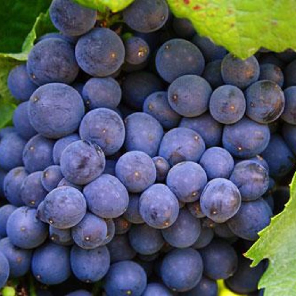 Liquor Store Pompano Beach, FL Last Updated July 2021 Yelp