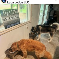 Luca Lodge