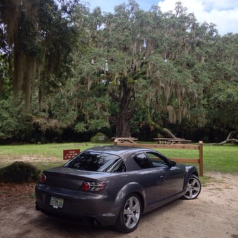 Bulow Creek State Park - Parks Near Me - Ormond Beach, Florida