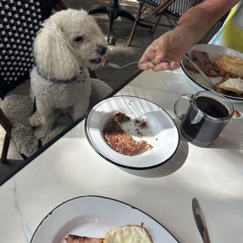 The Mess Around - Johnny enjoying brunch! - Southern Near Me - New Braunfels, Texas The Mess Around - Johnny enjoying brunch! - Southern Near Me - New Braunfels, Texas