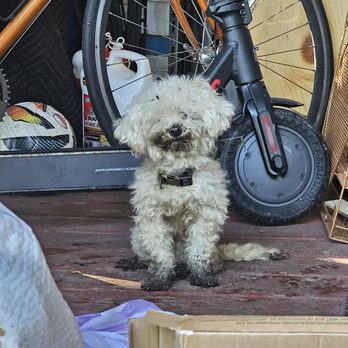 South Suburban Low Cost Veterinary Services - Veterinarians Near Me - Matteson, Illinois South Suburban Low Cost Veterinary Services - Veterinarians Near Me - Matteson, Illinois