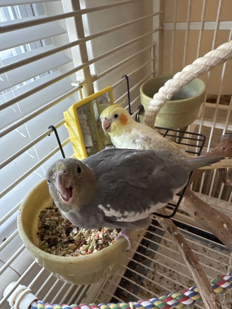 Animal House Pet Center Image