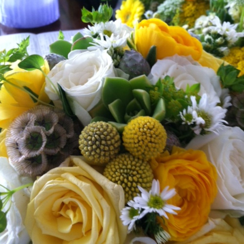 Petal - hidden mickey! - Florists Near Me Petal - hidden mickey! - Florists Near Me