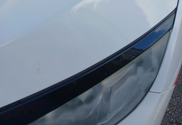 Octopus Car Wash by null