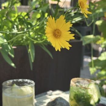 Ethanology Distillation - Cocktail Bars Near Me - Elk Rapids, Michigan