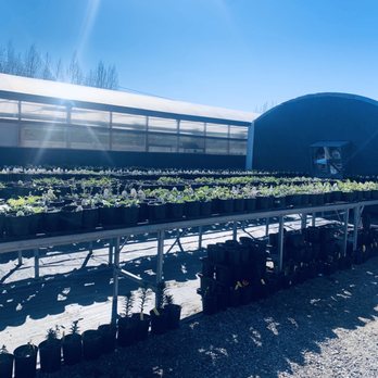MidValley Greenhouse - Flowers & Gifts Near Me - Wasilla, Alaska MidValley Greenhouse - Flowers & Gifts Near Me - Wasilla, Alaska