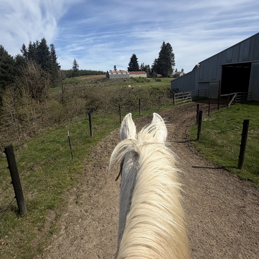 Sky Ranch Stables - Horse Boarding Near Me - North Plains, Oregon Sky Ranch Stables - Horse Boarding Near Me - North Plains, Oregon