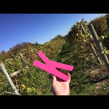 Kapnick Orchards - The vineyards - Bakeries Near Me - Britton, Michigan