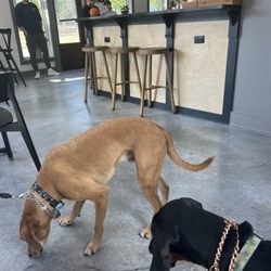 Pettaway Coffee - Good coffee and no carpet. Place is very clean and the atmosphere is laid back.