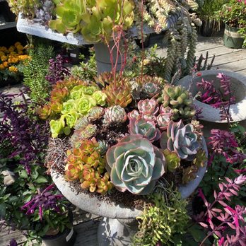 Rolling Greens - Beautiful inspiration - Nurseries & Gardening Near Me - Culver City, California