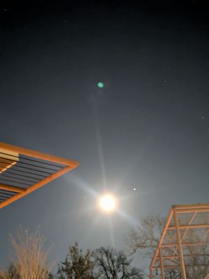 Leona Botanical Cafe & Bar by null Leona Botanical Cafe & Bar by null