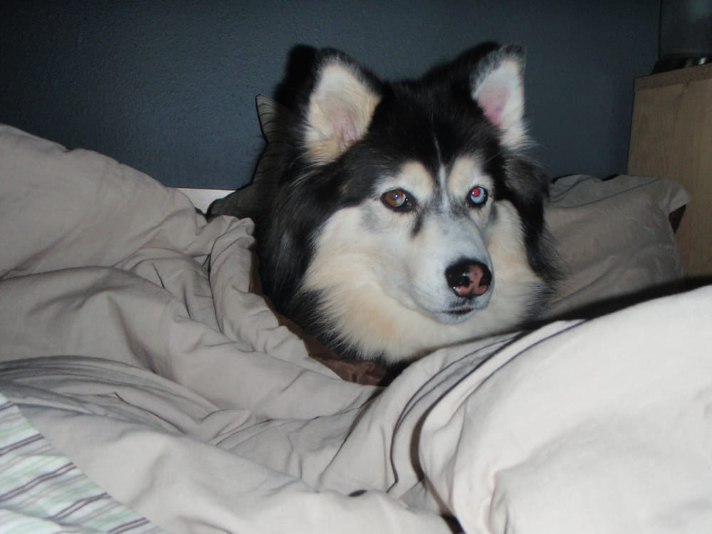 Slide of Air Tech Heating & Cooling