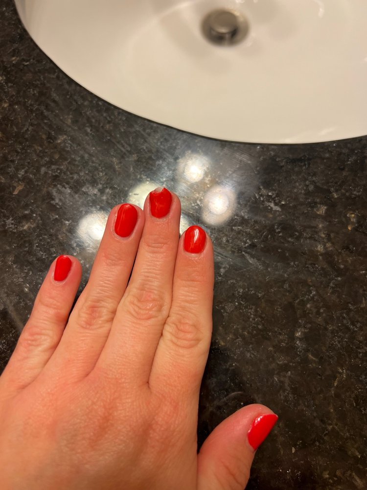 Posh Nail Spa Logo