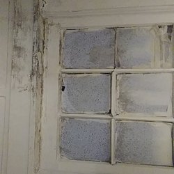 Sturkie Properties - Black mold in home because of there being no preventative weathering to the wood.