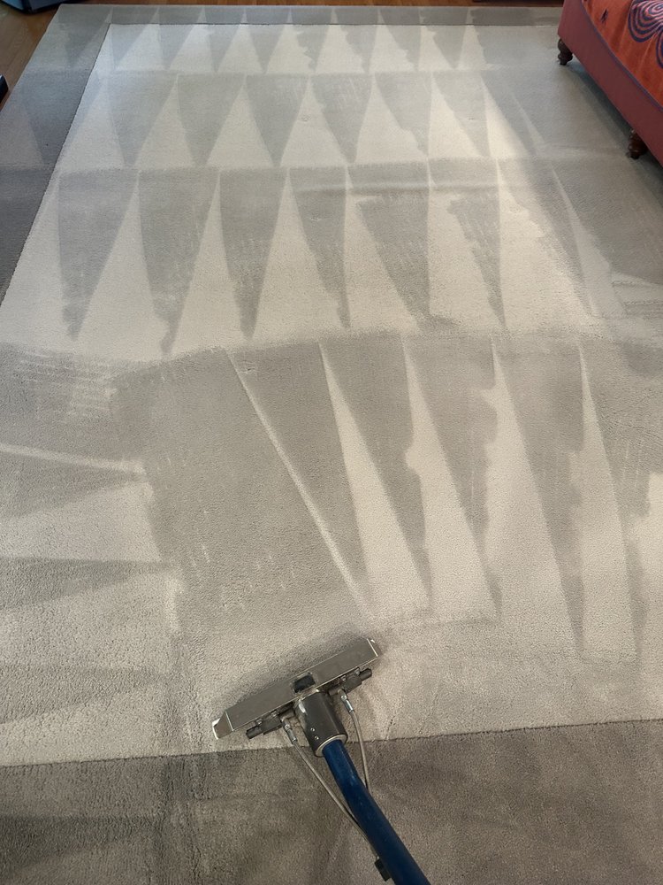 CARPET STEAM PRO Updated July 2024 16 Photos Gaithersburg