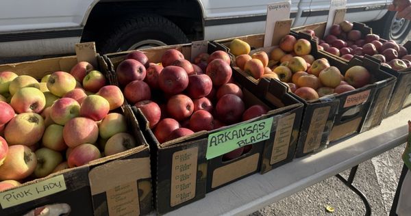 Los Ranchos Growers' Market by null