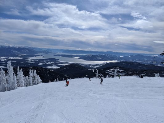Schweitzer by null