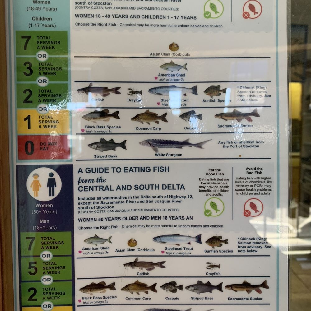 Rodeo Bait & Tackle - Fish guide - Hunting & Fishing Supplies Near Me - Rodeo, California Rodeo Bait & Tackle - Fish guide - Hunting & Fishing Supplies Near Me - Rodeo, California
