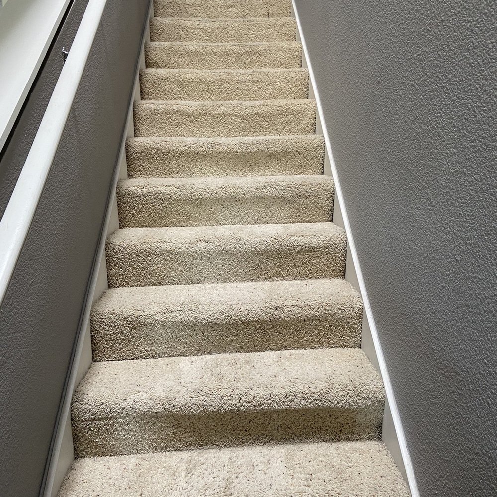 Pristine Cleaners - 2 sets of stairs! - Carpet Cleaning Near Me