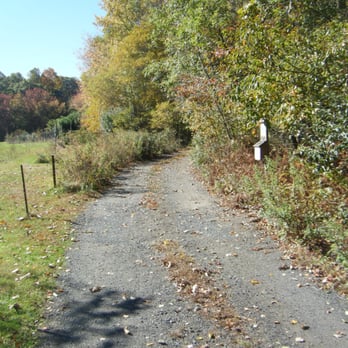 Great Cedar Conservation Area - The start - Hiking Near Me - Old Saybrook, Connecticut
