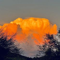 Coyote Howls Park - Clouds on fire