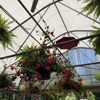 Greenhouse Cafe & Tavern - So cute outside - Cafes Near Me - Burlington, Connecticut Greenhouse Cafe & Tavern - So cute outside - Cafes Near Me - Burlington, Connecticut