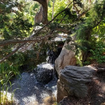 Yakima Area Arboretum - A snapshot in the Japanese garden. - Parks Near Me - Yakima, Washington Yakima Area Arboretum - A snapshot in the Japanese garden. - Parks Near Me - Yakima, Washington