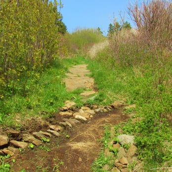 Lobster Cove Trail - Lots of erosion. - Hiking Near Me - Monhegan, Maine Lobster Cove Trail - Lots of erosion. - Hiking Near Me - Monhegan, Maine