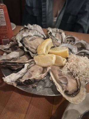 Oyster Boy by null