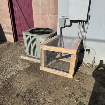 Buncha Bugs - he built a protective cage around the HVAC so the dog couldn't chew it anymore!!! TY Fam!!! - Pest Control Near Me