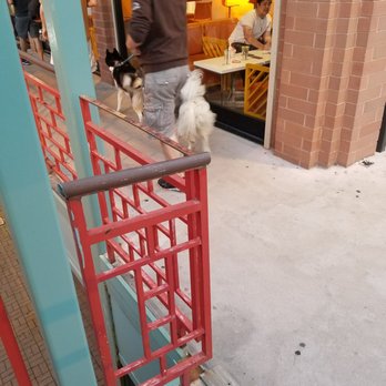 Kung Fu Tea - All men are dogs. Actually no men aren't that cute. And shouldn't be that hairy. - Coffee & Tea Near Me - Chicago, Illinois