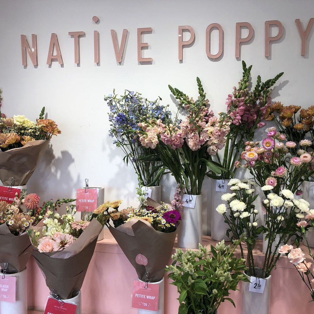 Native Poppy - 9/21/25 - Florists Near Me - San Diego, California Native Poppy - 9/21/25 - Florists Near Me - San Diego, California
