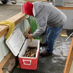 ShrimpDaddy’s Bait & Tackle Shack - Employee preparing crab into mesh bags to be cooked