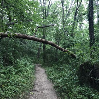 Prairie Park Nature Center - Cool path - Parks Near Me - Lawrence, Kansas Prairie Park Nature Center - Cool path - Parks Near Me - Lawrence, Kansas