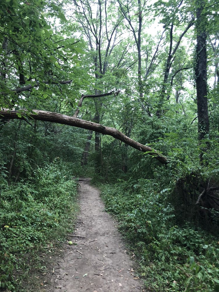 Social spots from Prairie Park Nature Center