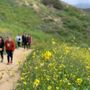 Photo of Santiago Creek Trail