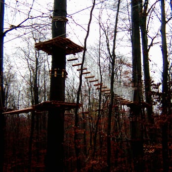 Kletterwald Neroberg - Herbst im Kletterwald - Climbing Near Me - Wiesbaden, HE Kletterwald Neroberg - Herbst im Kletterwald - Climbing Near Me - Wiesbaden, HE