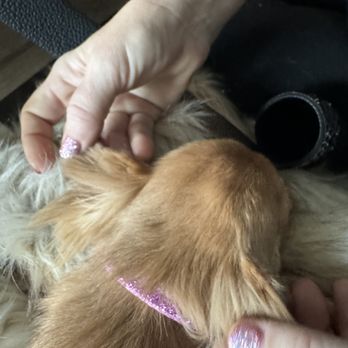 Petco - Pet Training Near Me - Park City, Utah