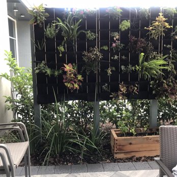 Midtown Table - They grow their own herbs out on the patio! - Italian Near Me - Jacksonville, Florida Midtown Table - They grow their own herbs out on the patio! - Italian Near Me - Jacksonville, Florida