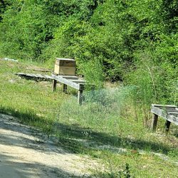 Millie Bee Farm - More bee hives.